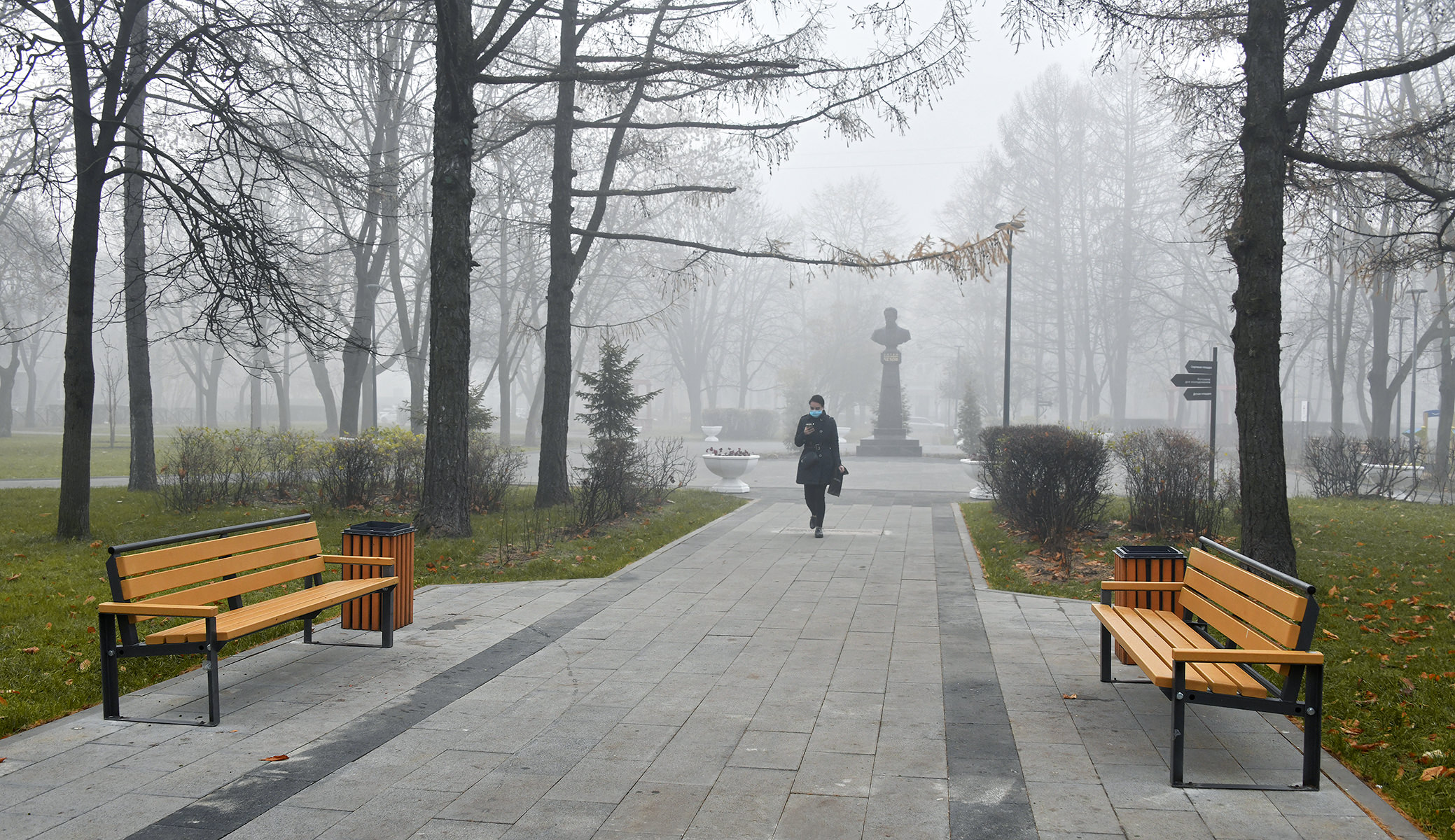 Парк в тумане