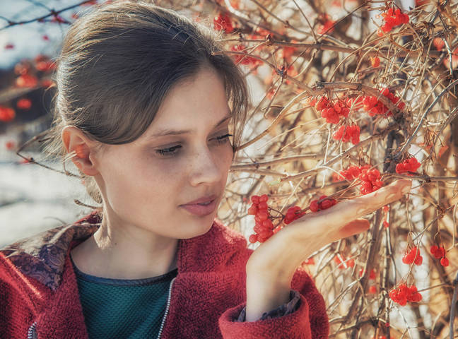 Калина красная
