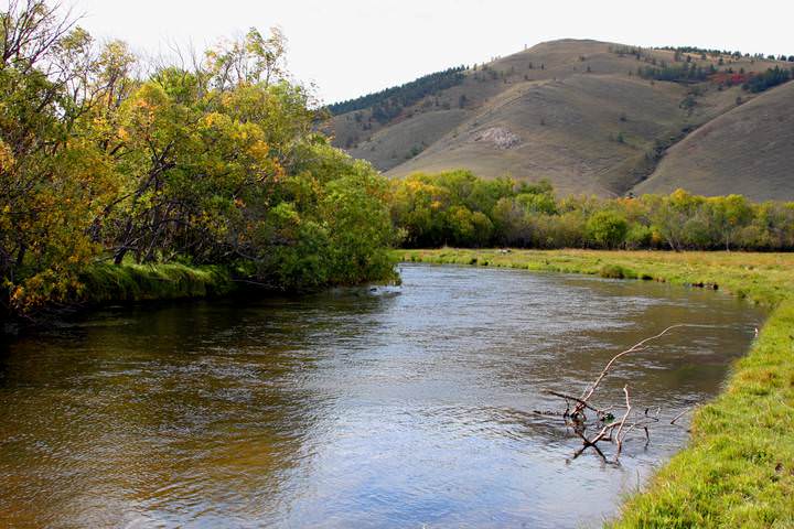 осенние мотивы