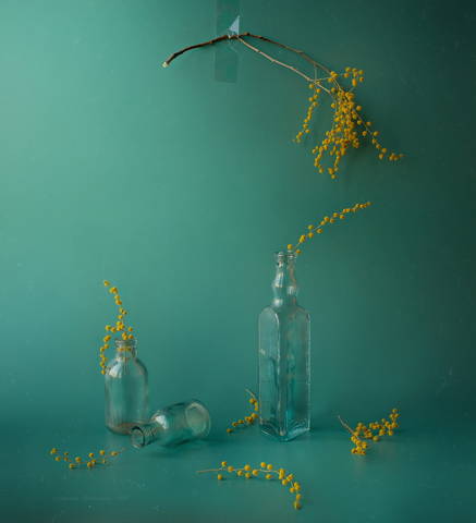 изумрудный сон*