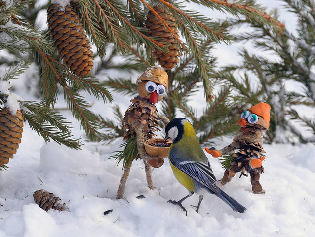 Птицы — наши друзья и помощники