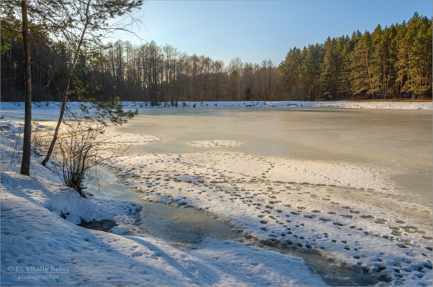 Истоптанный снег на лесном озере