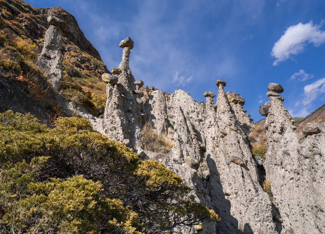 Каменные грибы