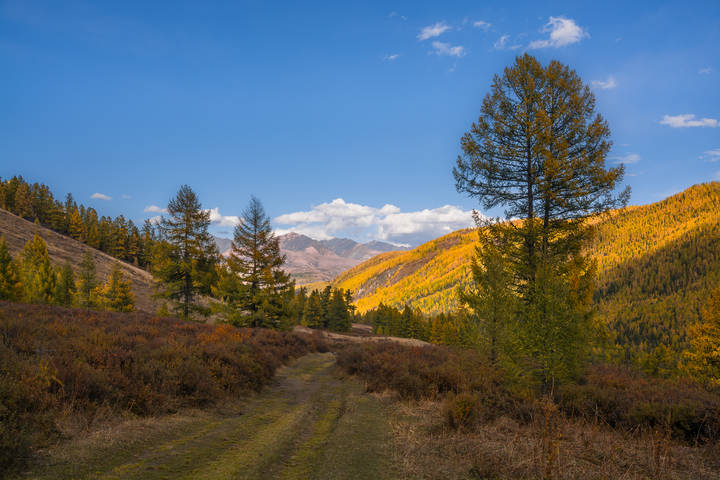 Прогулка