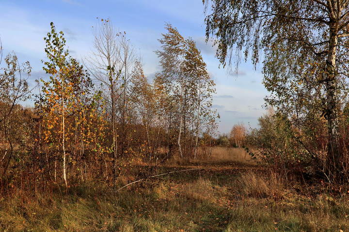  По дороге с осенью.