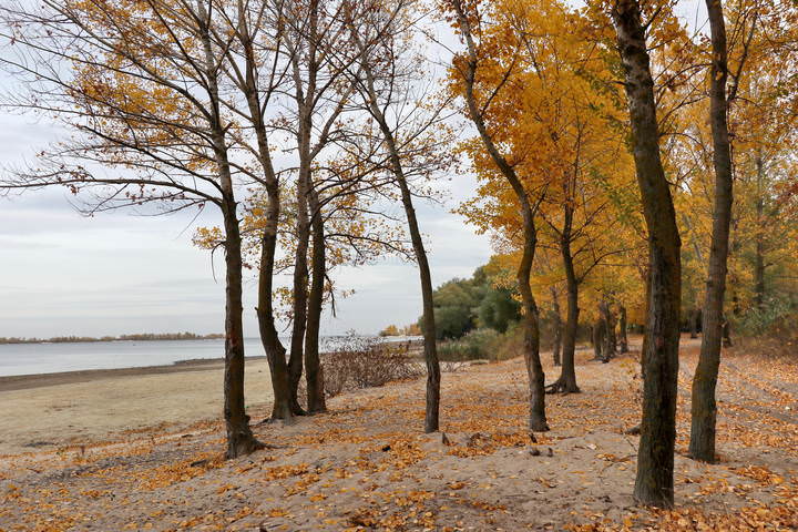  Осень на Днепре.2