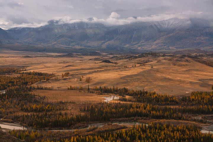 Просторы Курая