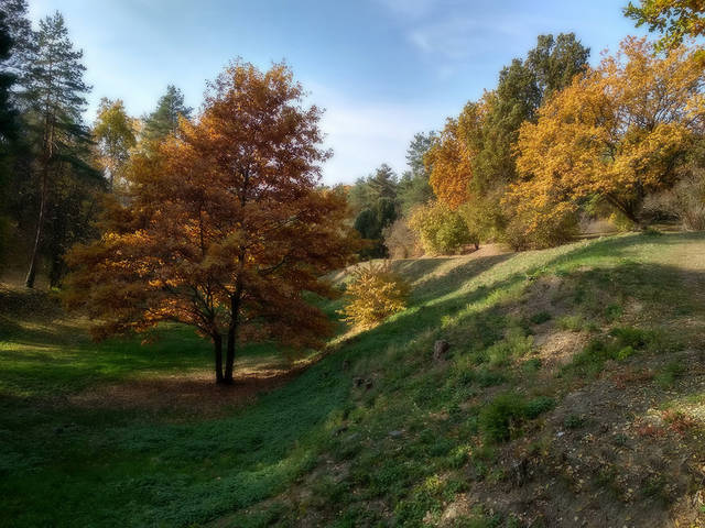 62511357e2cfda521e463da1