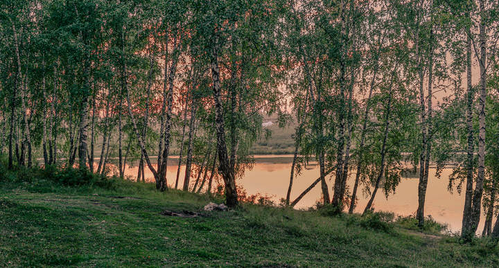 Тишина.