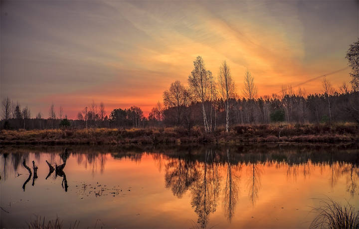 Осеннее утро.