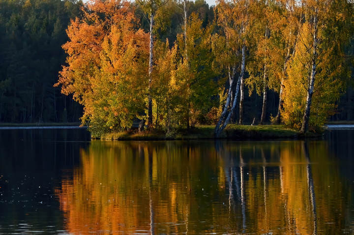 В вечернем свете......