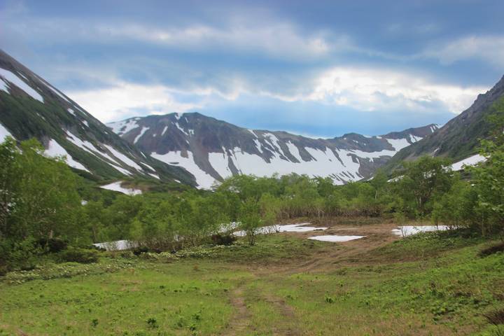 летний день