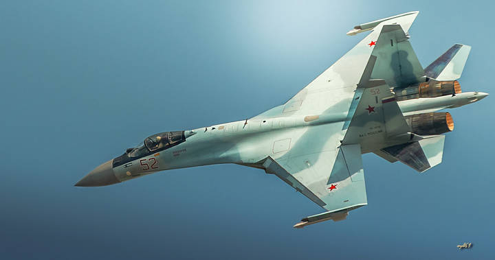 Самолетная грация