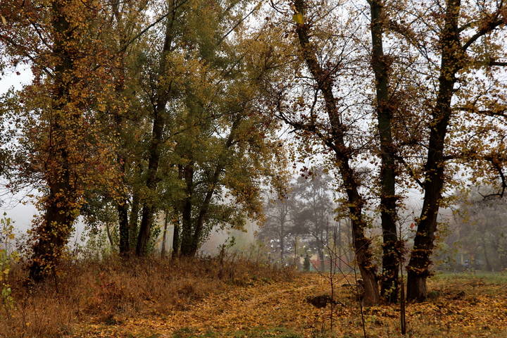  Осень продолжается.