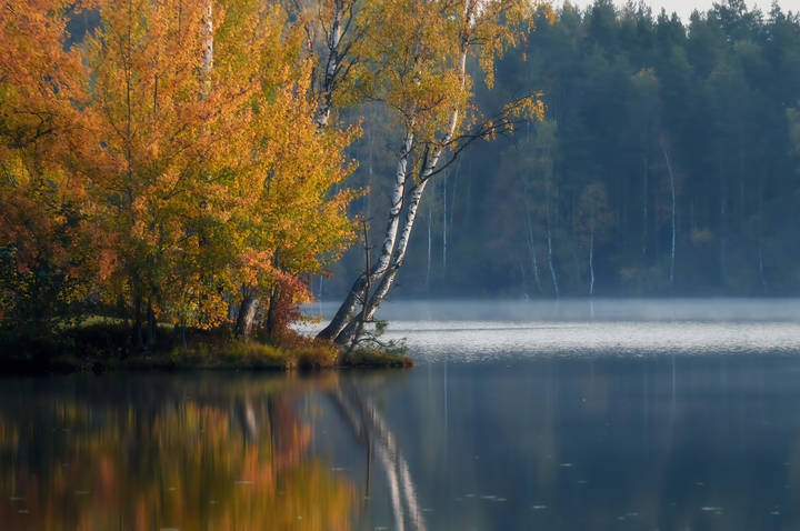 Утреннее......