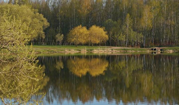 Подружки