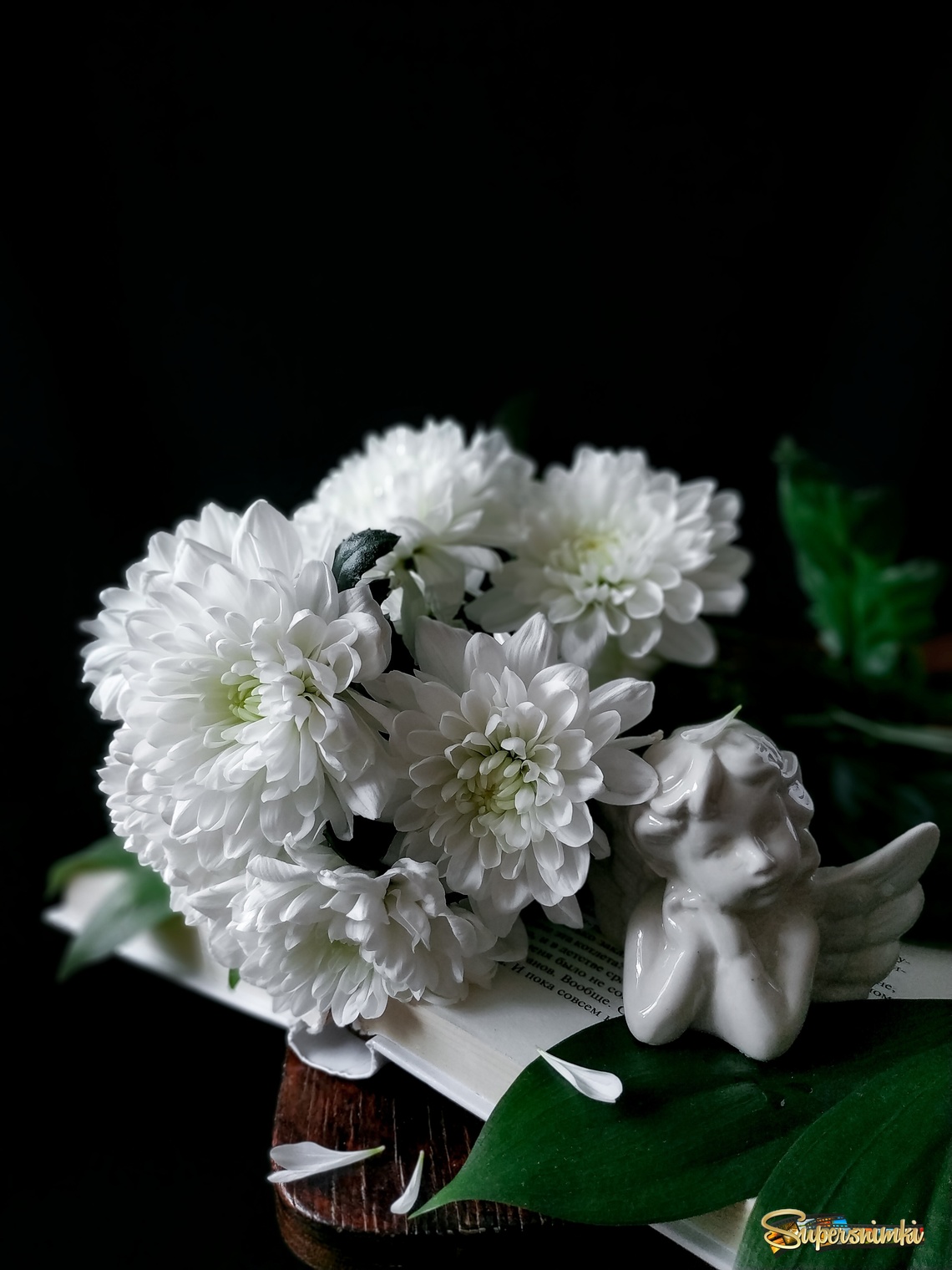 Хризантемы белые.... 