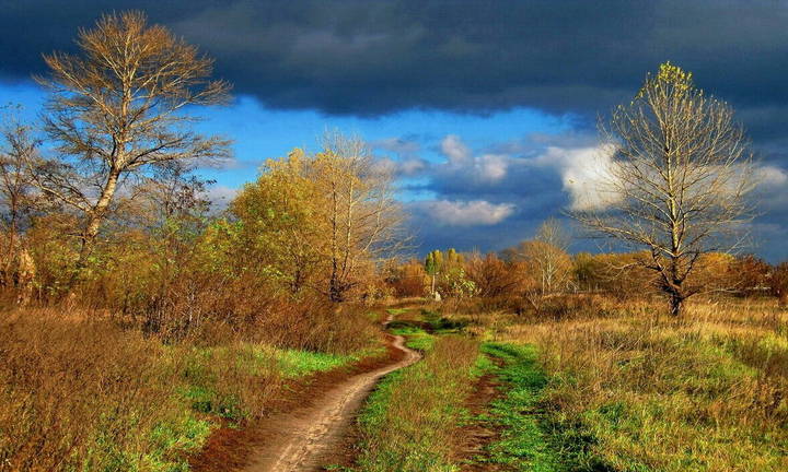 Красавица осень.
