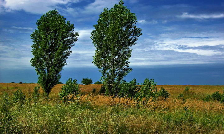 Осень в полн.