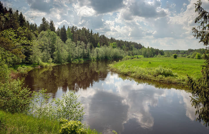 НЕрль полноводная