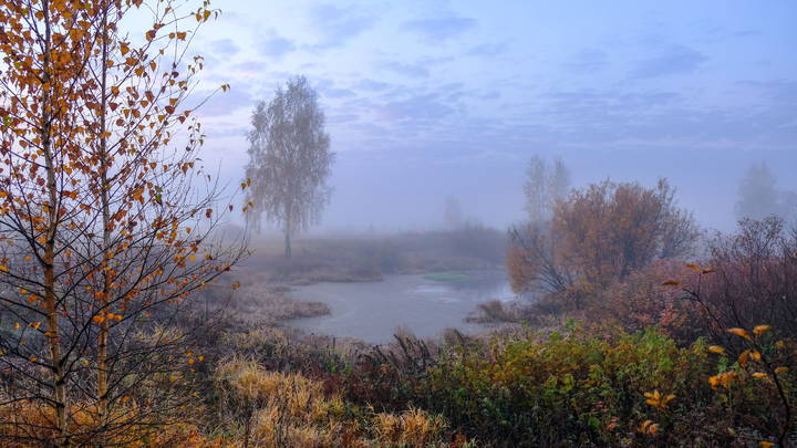 Тихое утро октября