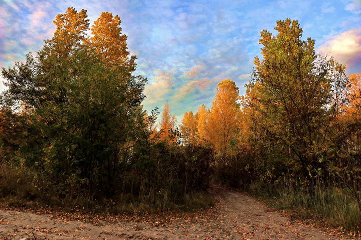  Краски осени.