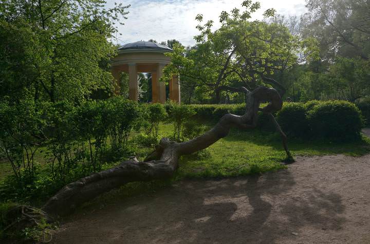 история жизни
