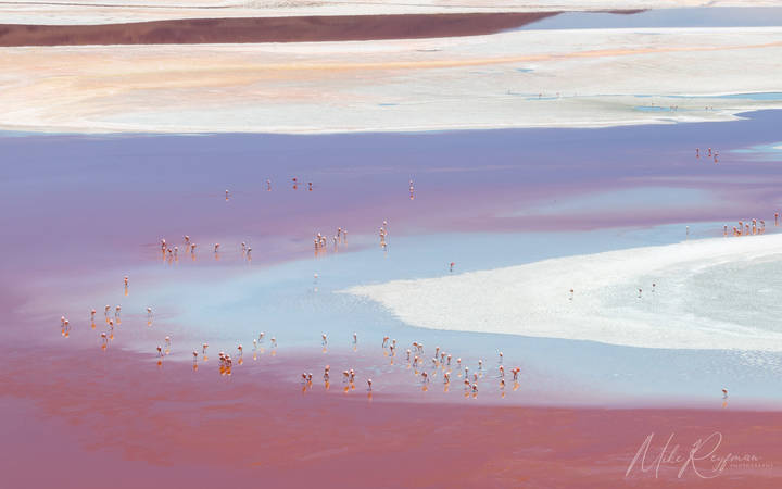 Laguna Colorada