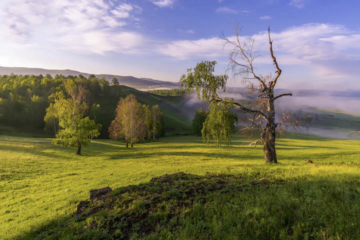 На краю