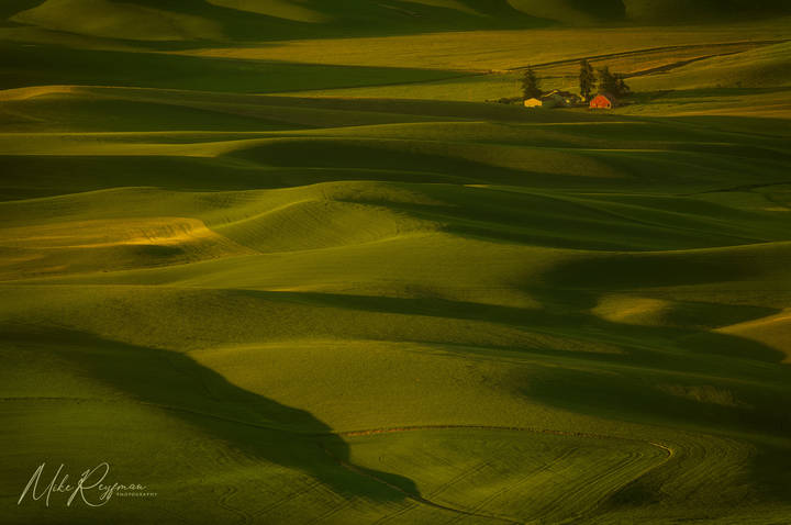 Palouse’s Pastel | Палузская Пастель