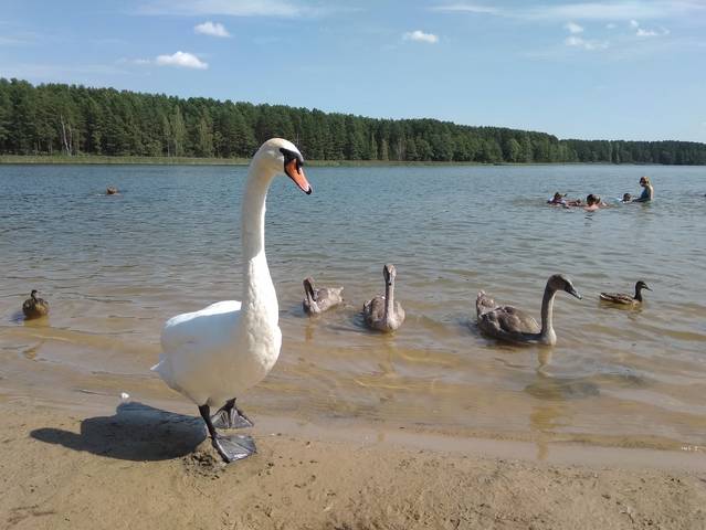 оз.Молочное.