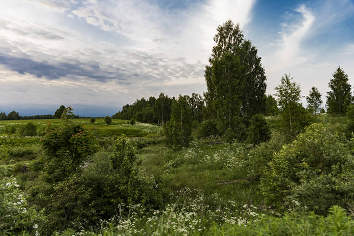 Июнь