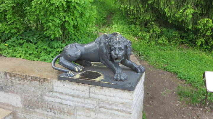 В Павловском парке