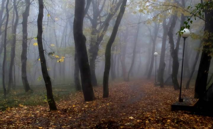 В осеннем парке.....