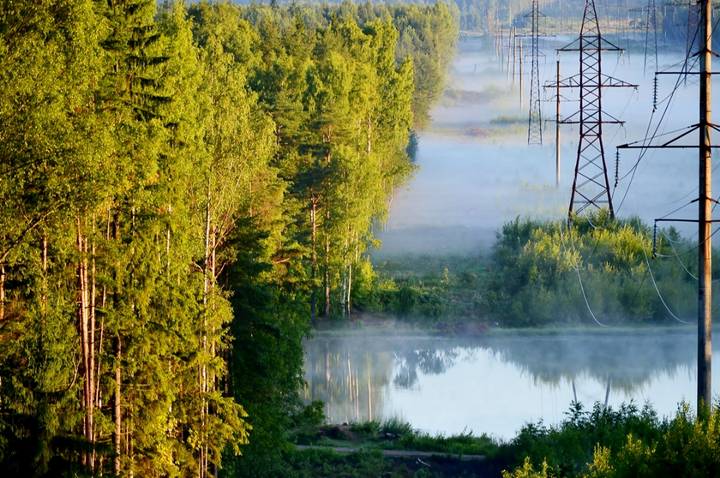 Утро в железном лесу.....