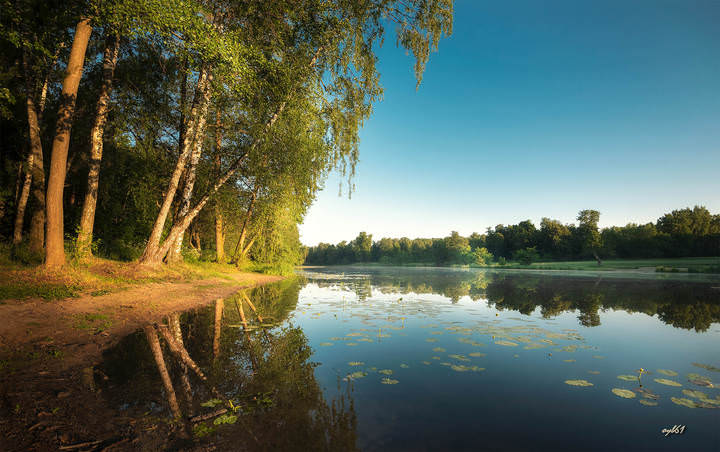 Летнего утра тишина
