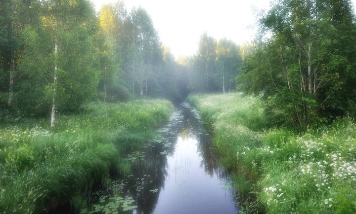 Утренняя тишина.