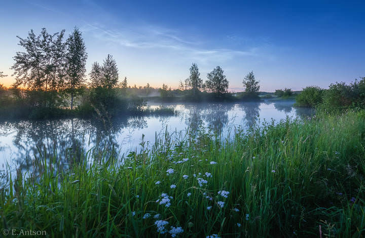 В летнюю ночь