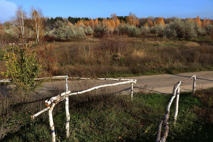  За оградой осень.