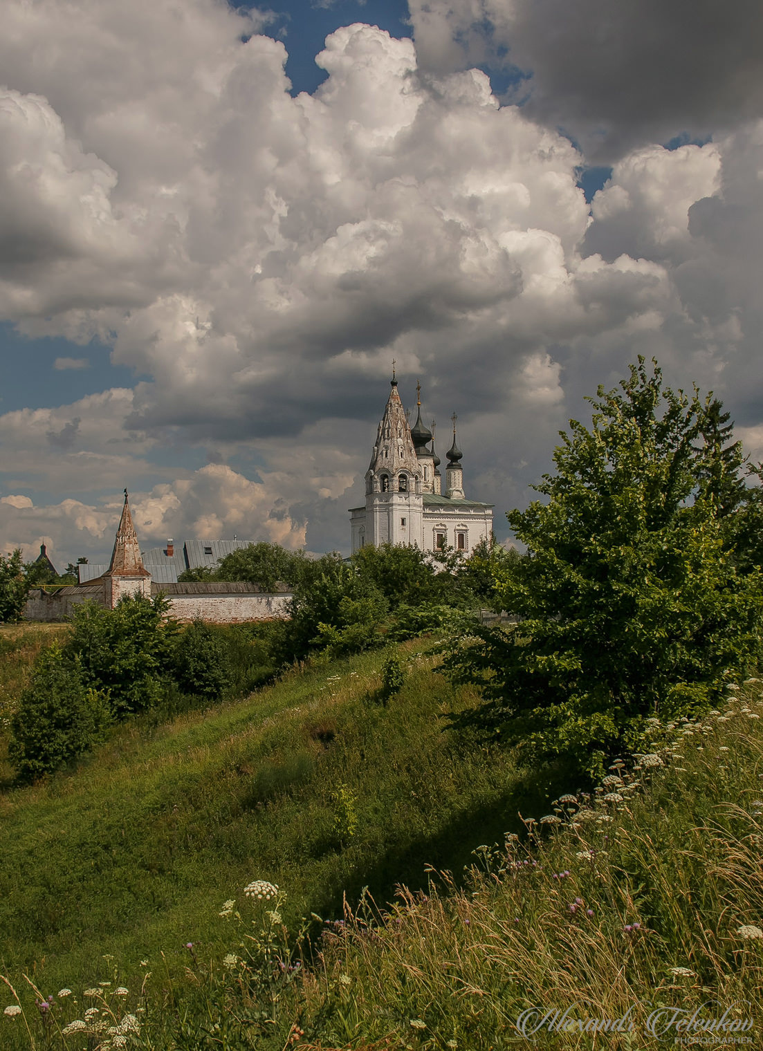 Александровский монастырь в Суздале.