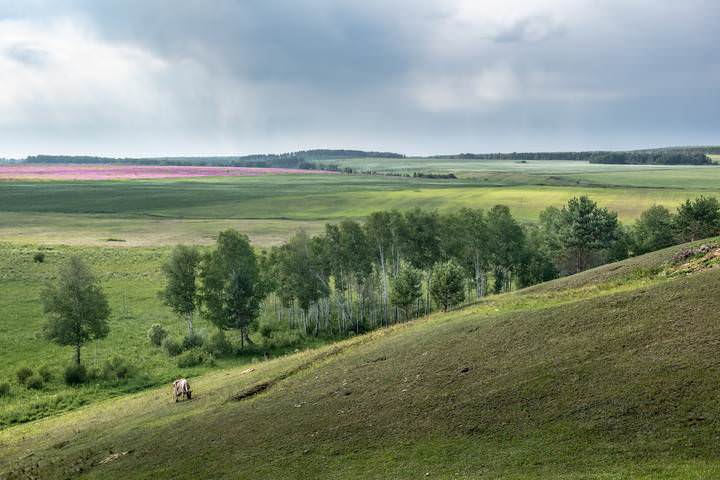 Сибирские просторы.