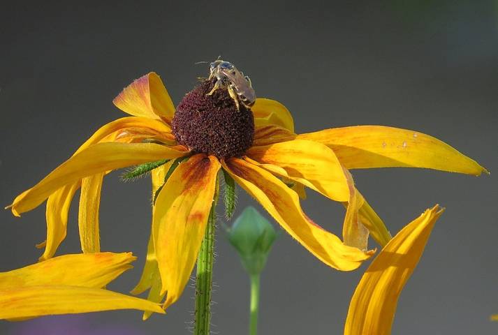 Во всех позах) ))