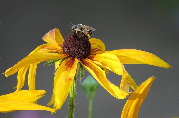 Во всех позах) ))