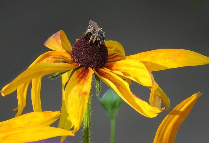 Во всех позах) ))