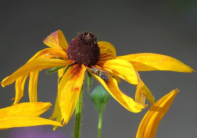 Во всех позах) ))