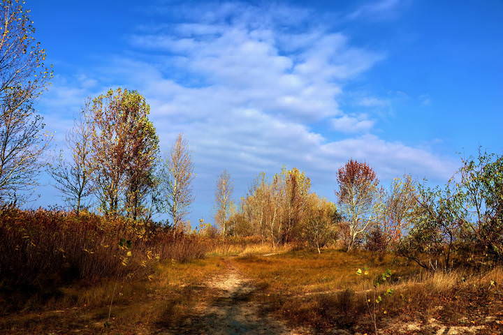  Осеннее настроение.