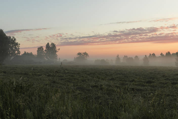 Утром