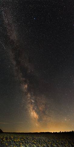 "И подсолнухи смотрят на звезды... "