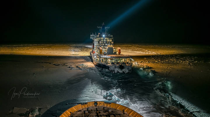 В полярной мгле