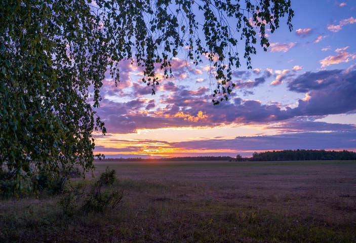 Лето в якутии фото